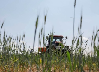 Einkommen von Landwirten steigen deutlich - zdemir will weniger Brokratie