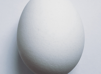 Eiweiß hilft beim Abnehmen