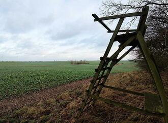Jagdverband warnt vor Jagddruck über das ganze Jahr