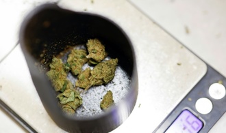 Bundestag stimmt über Teillegalisierung von Cannabis ab
