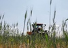Bayer will Bio-Insektenvernichtungsmittel fr Getreide auf den Markt bringen