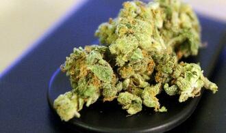 Bundesregierung ebnet Weg fr legalen Verkauf von Cannabis