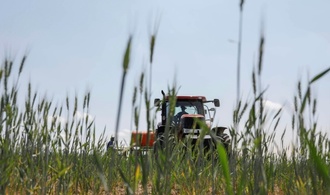 Einkommen von Landwirten steigen deutlich - zdemir will weniger Brokratie