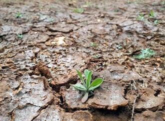 Hitzedom: Rekordtemperaturen in weiten Teilen der USA erwartet