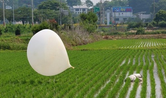 Seoul: Parasiten aus menschlichen Fkalien in Mllballons aus Nordkorea gefunden
