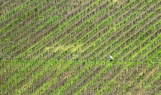 ''Ampel'' einigt sich auf Entlastungen fr Landwirte - Bauernverband unzufrieden