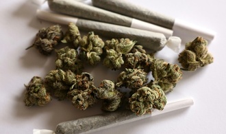 Studie: Fast die Hlfte der jungen Erwachsenen hat Cannabis ausprobiert