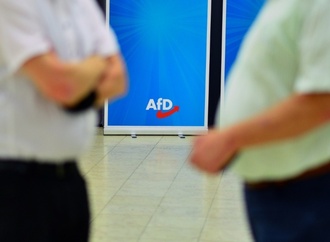 Wirtschaft sieht Erstarken der AfD als Standortrisiko - Irritationen im Ausland