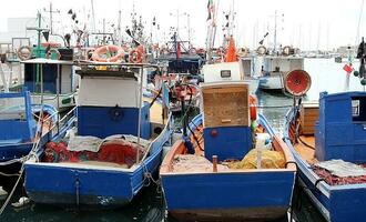 Betriebshilfen fr Fischer werden verlngert