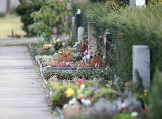 Sterbefallzahlen im November unter Niveau der Vorjahre