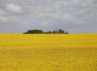 Parkinson durch Pestizide: Tausende Verdachtsfälle in Überprüfung