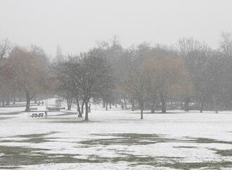 Winter erneut zu mild und zu trocken