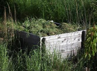Deutsche gärtnern im Schnitt zwölf Minuten am Tag