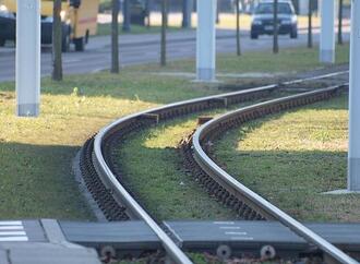 Greenpeace-Aktivisten drängen Schwarz-Rot zu besserem ÖPNV