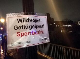 Geflügelpest im Landkreis Wittenberg bestätigt