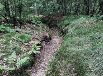 Weltkriegsende: Ukraine warnt vor Feiern mit russischen Vertretern