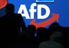 Verfassungsschutz: AfD gesichert rechtsextremistisch