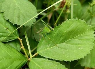 Bauministerin fordert Umdenken beim Umweltschutz