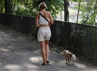 Hitzeschutz: Städtetag fordert mehr finanzielle Unterstützung