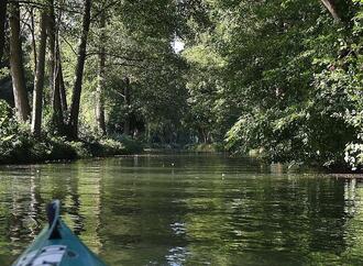 Gewässer in Berlin und Brandenburg in ökologisch kritischem Zustand