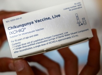 WHO warnt vor Risiko einer weltweiten Chikungunya-Epidemie