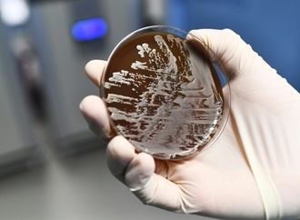 RKI: 9600 Menschen durch antibiotikaresistente Erreger gestorben