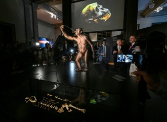 Premiere in Europa: 3,2 Millionen Jahre altes Fossil Lucy wird in Prag ausgestellt
