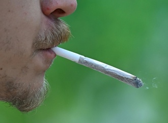 Studie: Junge Menschen konsumieren deutlich mehr Cannabis als vor zehn Jahren