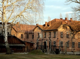 Antisemitismusbeauftragter fordert ausreichend Mittel für Yad-Vashem-Außenstelle