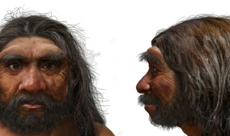 Eine Million Jahre alter Schädel könnte Zeitachse der menschlichen Evolution verschieben