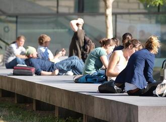 Etwas mehr Beschäftigte an Hochschulen im Jahr 2024