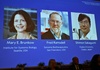 Medizin-Nobelpreis für Entdeckung von ''Wächtern'' des Immunsystems