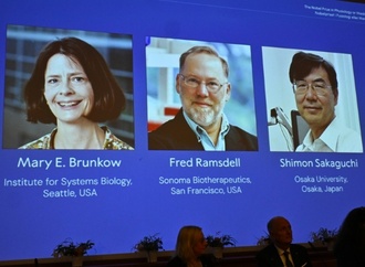 Medizin-Nobelpreis für Entdeckung von ''Wächtern'' des Immunsystems