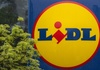 ''Manager-Magazin'': Lidl-Gründer Schwarz ist wieder reichster Deutscher