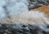 Bericht: Weltweite Waldzerstörung geht kaum zurück