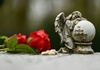 Sterbefälle im dritten Quartal gesunken - Anstieg während Hitzewelle im Juli