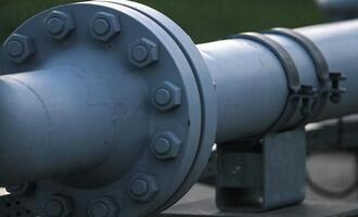 Schneider warnt vor Kosten von überzogenem Gaskraft-Ausbau