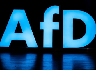 Neuer fraktionsübergreifender Anlauf für AfD-Verbotsverfahren im Bundestag