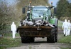 Vogelgrippealarm: Behörden in Brandenburg müssen rund 130.000 Enten und Hühner töten