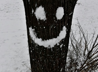 Lebenszufriedenheit der Deutschen stabil - Hamburger am glücklichsten