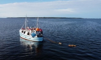 EU-Fischereiverbote: Rainer setzt sich für Ausnahme für Ostsee-Fischer ein