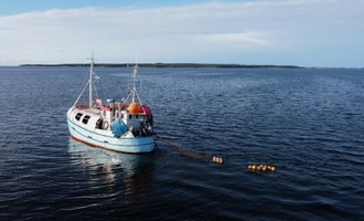 EU-Fischereiverbote: Rainer setzt sich für Ausnahme für Ostsee-Fischer ein