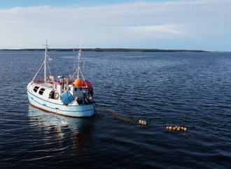 EU-Fischereiverbote: Rainer setzt sich für Ausnahme für Ostsee-Fischer ein