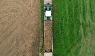 Pommes-Weltmeister Belgien erwartet Rekord-Kartoffelernte