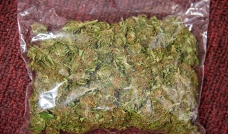 Besorgte Nachbarn überführen unbeabsichtigt Drogenhändler in Frankfurt am Main