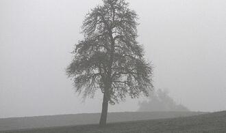 Oktober 2025 in Deutschland ungewöhnlich nass und trüb