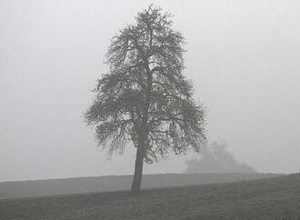 Oktober 2025 in Deutschland ungewöhnlich nass und trüb