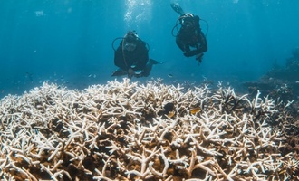 Klimafaktenpapier: Sich weiter erwärmende Erde steuert auf gefährliche Kipppunkte zu
