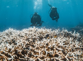 Klimafaktenpapier: Sich weiter erwärmende Erde steuert auf gefährliche Kipppunkte zu