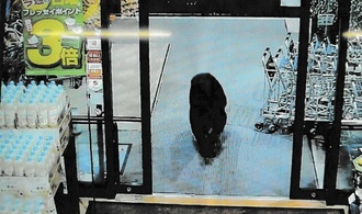 Japan: Bewaffnete Polizisten unterstützen unbewaffnete Soldaten im Kampf gegen Bären